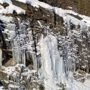 Meet your Posher, Noralei